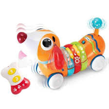 Winfun R/C Rainbow Pup – Interactive Remote-Control Puppy Toy for Toddlers (18M+)