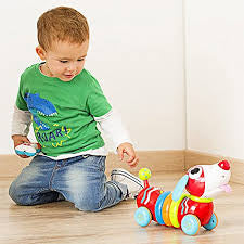 Winfun R/C Rainbow Pup – Interactive Remote-Control Puppy Toy for Toddlers (18M+)